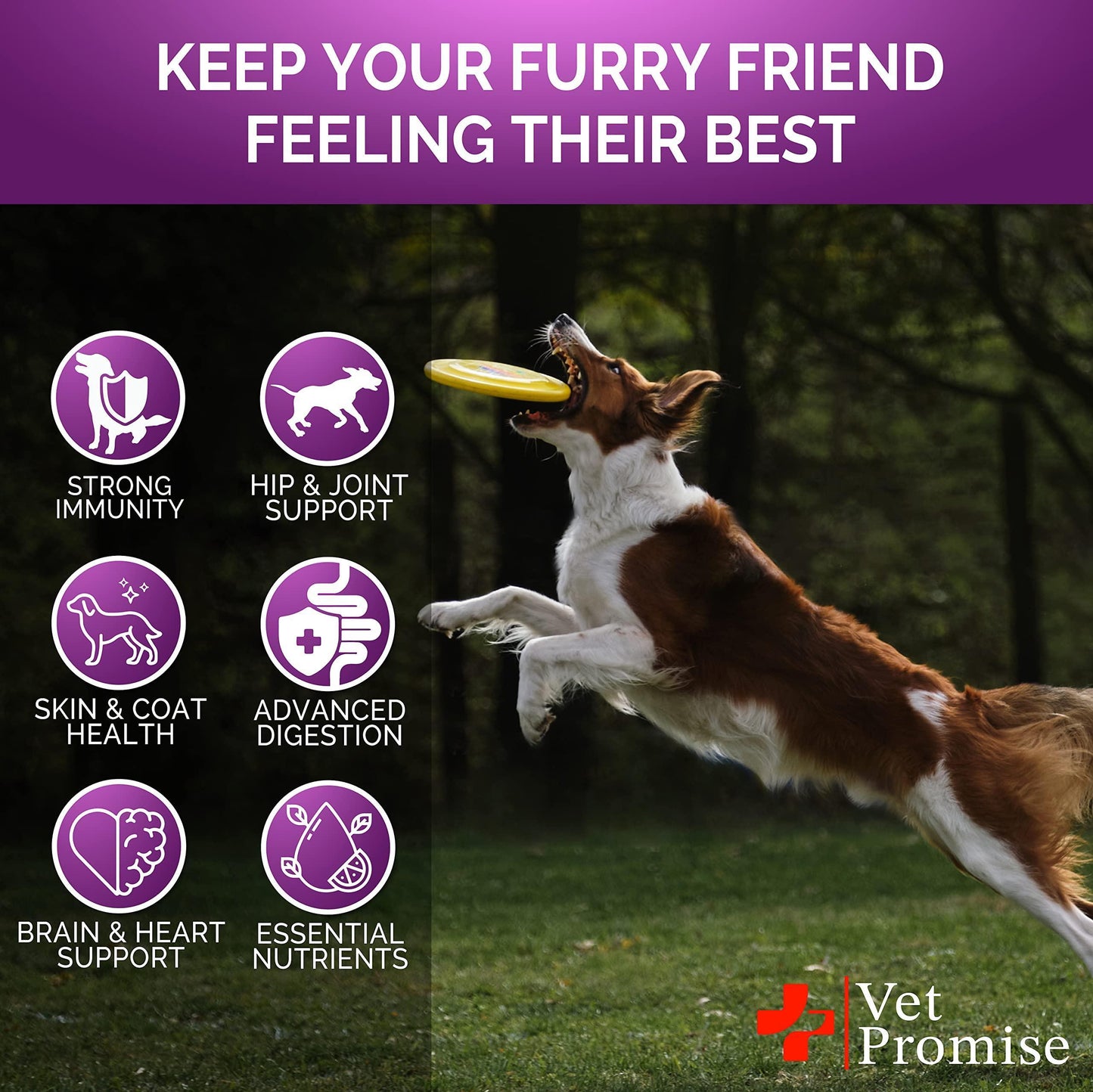 Vet Promise 15IN1 Multivitamin Supplement Complex for Dogs with Glucosamine. Joint Support, Immunity, Mobility, Energy, Gut, Skin Health Support. (120 Chews. Chicken Flavor) For Pet With Love
