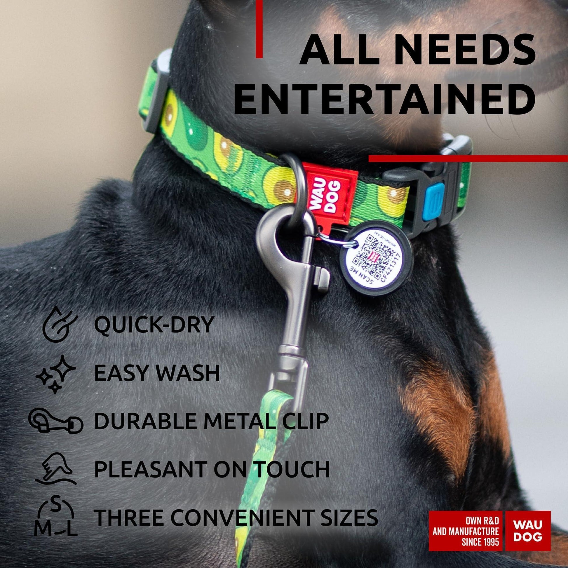 Nylon Dog Leash for Small Dogs and Medium Dogs 4 Ft   Strong Dog Leash for For Pet With Love