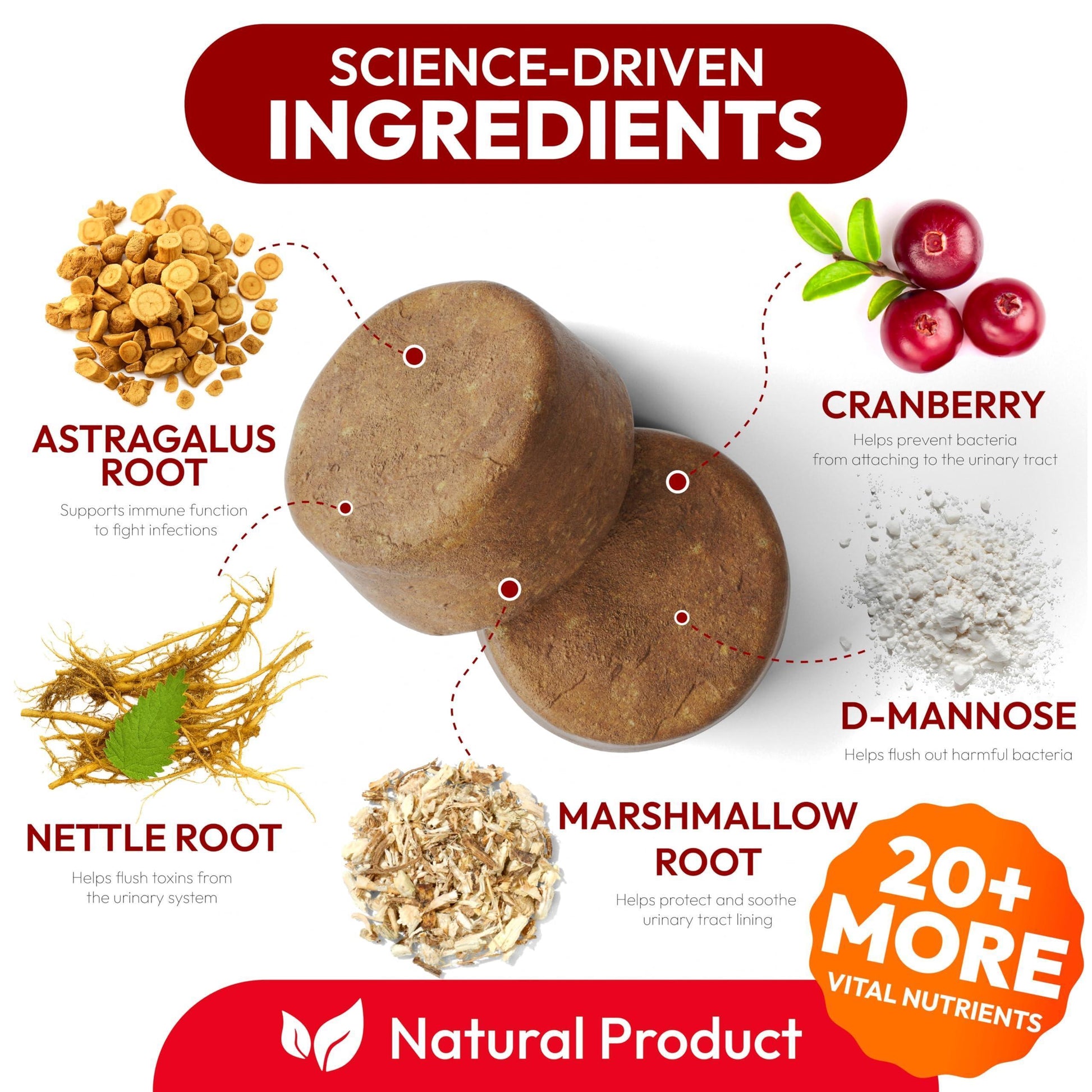 PETSOLOGY Advanced UTI Treatment Cranberry Multivitamin Supplement for Dogs. 170 Chews For Pet With Love