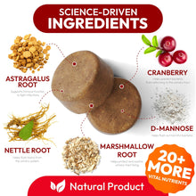 Load image into Gallery viewer, PETSOLOGY Advanced UTI Treatment Cranberry Multivitamin Supplement for Dogs. 170 Chews
