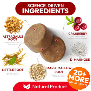 PETSOLOGY Advanced UTI Treatment Cranberry Multivitamin Supplement for Dogs. 170 Chews