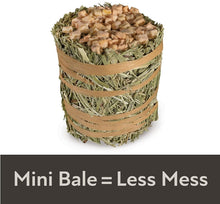 Load image into Gallery viewer, Kaytee Field and Forest Mini Hay Bale Apple
