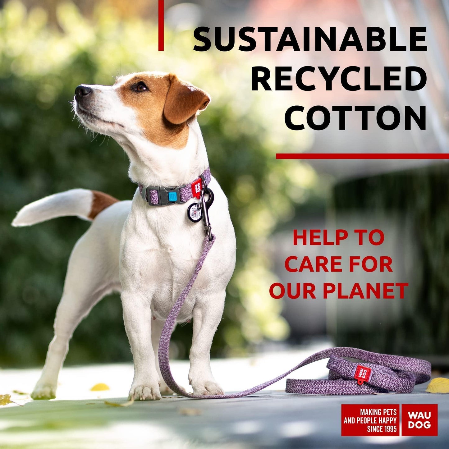 Recycled Cotton Dog Leash 6 Ft   10 Ft Eco Friendly Collar for Small Medium & For Pet With Love