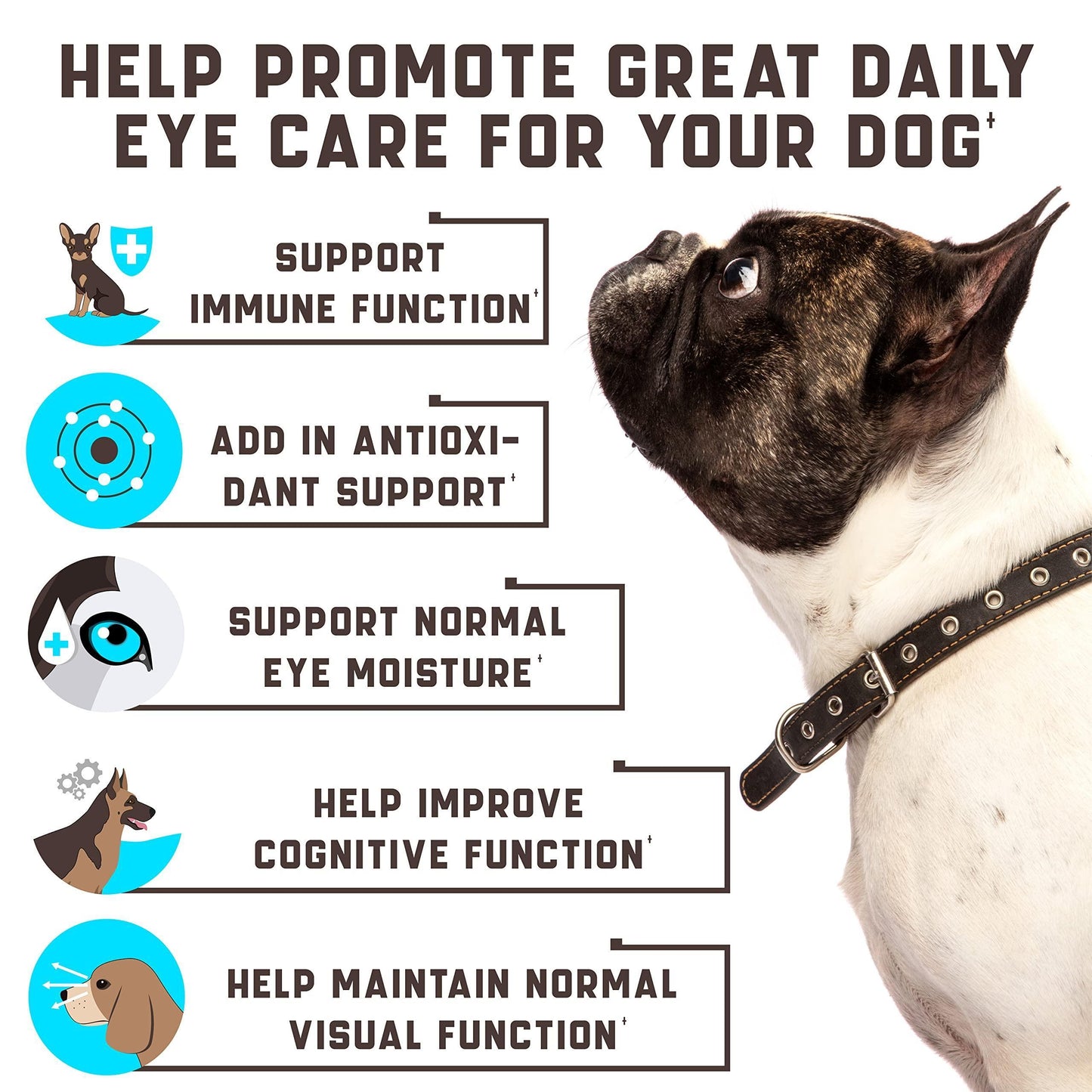 Kinpur Pet Care Dog Vision Supplement for Tear Stains, Dog Eye Care, Immune Support  180 Soft Chews with Duck Flavor For Pet With Love