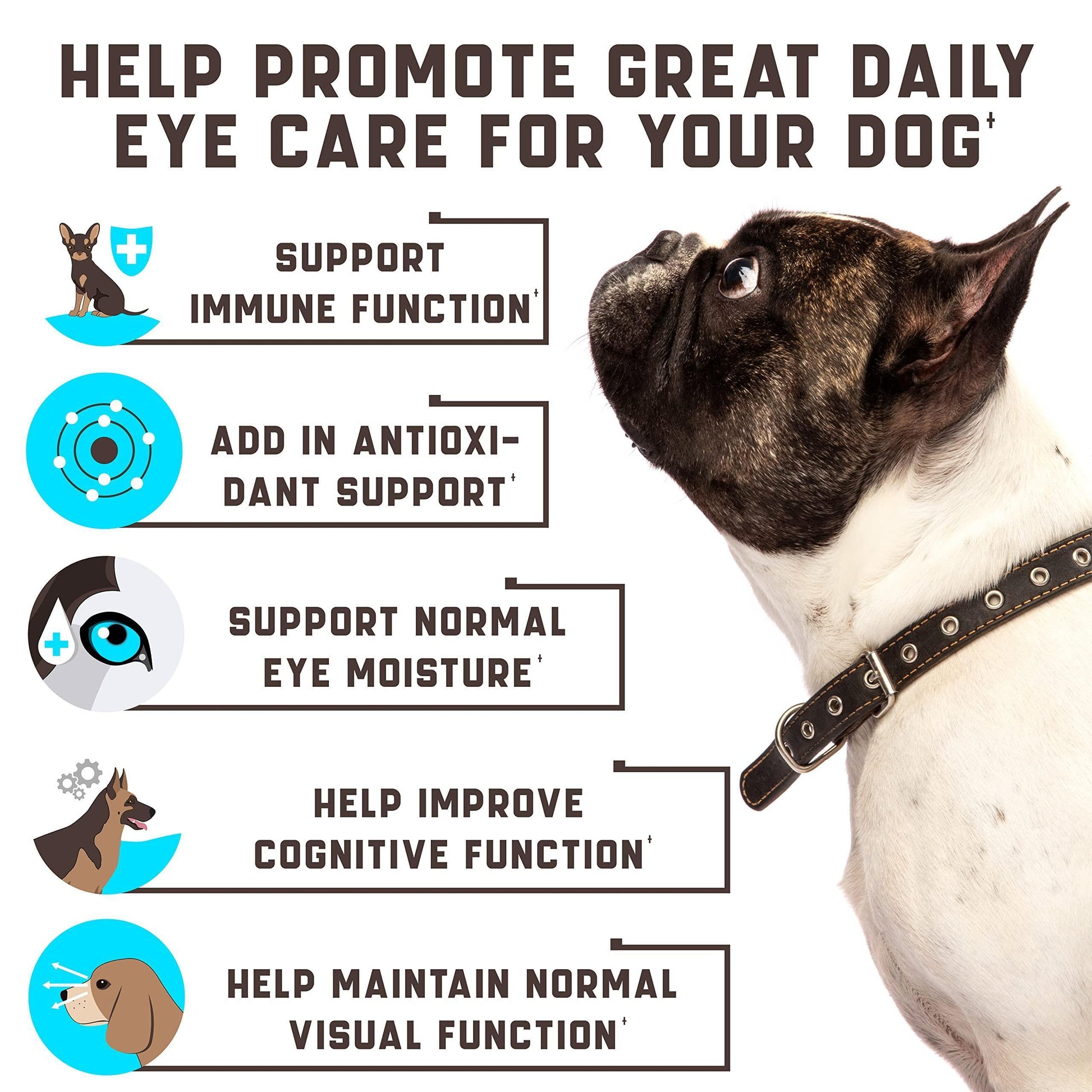Kinpur Pet Care Dog Vision Supplement for Tear Stains, Dog Eye Care, Immune Support  180 Soft Chews with Duck Flavor For Pet With Love