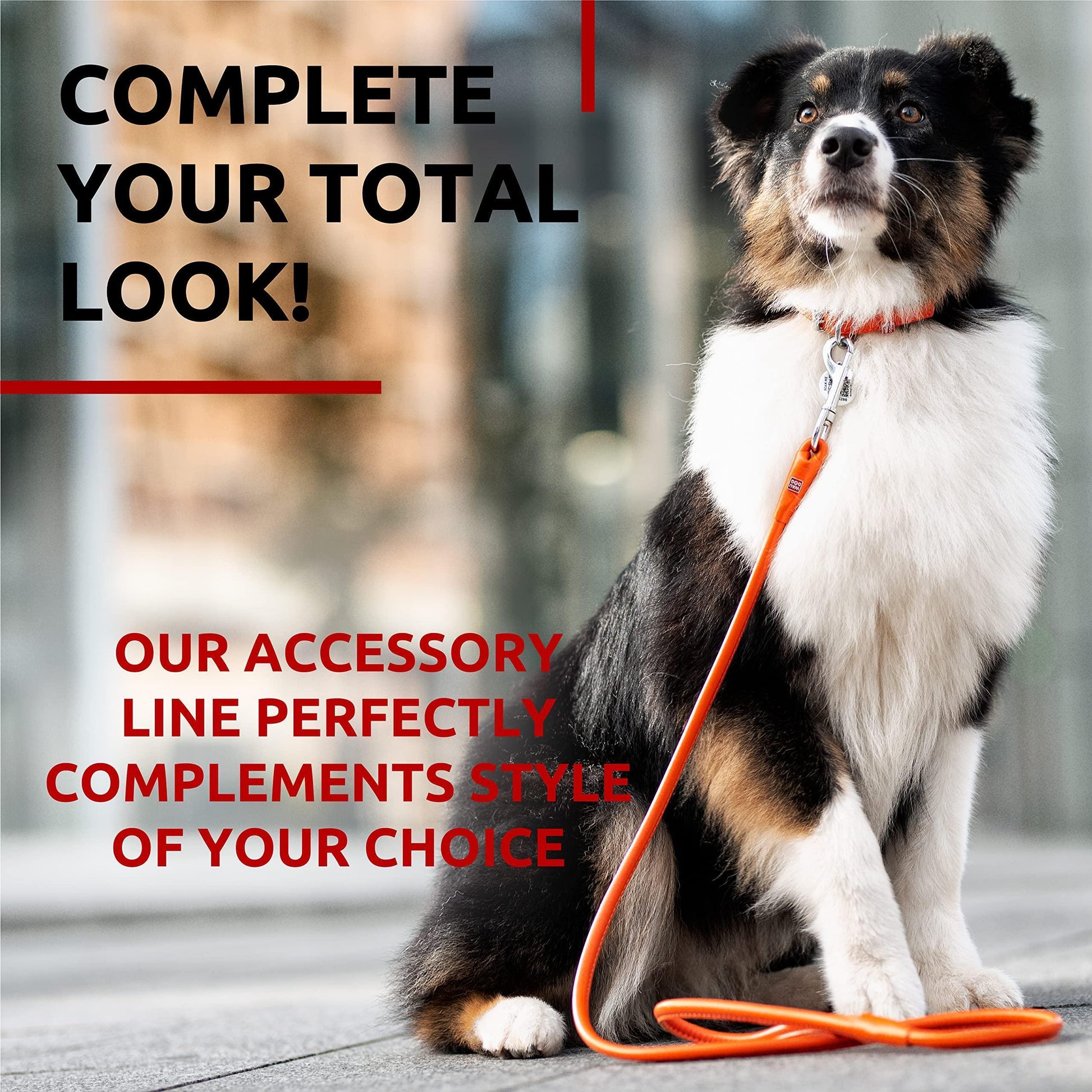 WAUDOG Rolled Leather GLAMOUR Dog Leash 4Ft * 0.5in for Small Medium and Large Dogs (Orange) For Pet With Love