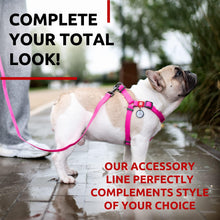 Load image into Gallery viewer, WAUDOG Waterproof Dog Leash 4 Ft   6 Ft   Anti Slip Dog Leash for Large Dogs
