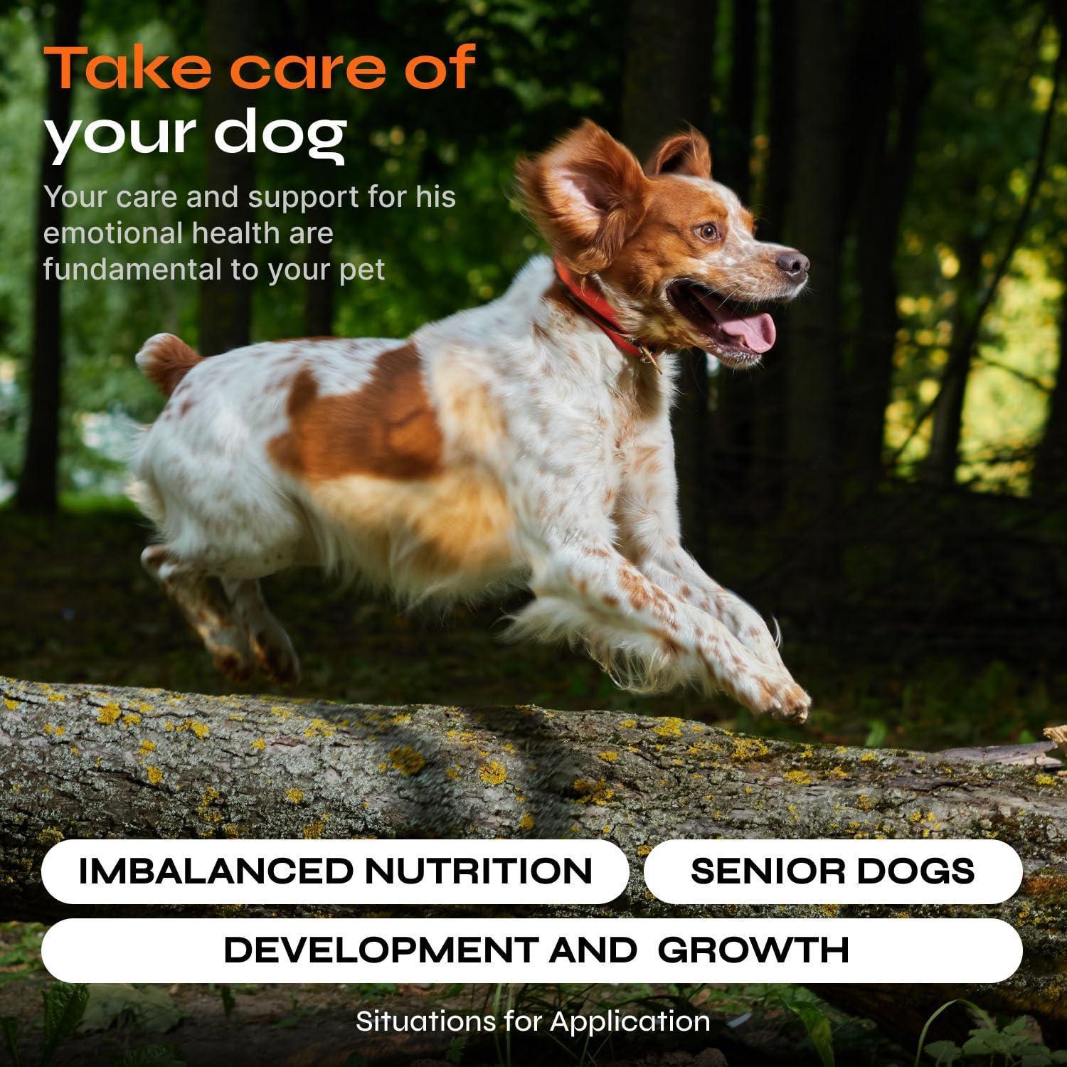 VETRICA 15in1 Dog Multivitamin Chews for Hip & Joint, Immune System, Coat & Mobility 130 Chews For Pet With Love