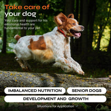 Load image into Gallery viewer, VETRICA 15in1 Dog Multivitamin Chews for Hip &amp; Joint, Immune System, Coat &amp; Mobility 130 Chews
