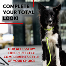 Load image into Gallery viewer, WAUDOG Rolled Leather Dog Leash 4Ft * 0.4 in for Small Medium and Large Dogs
