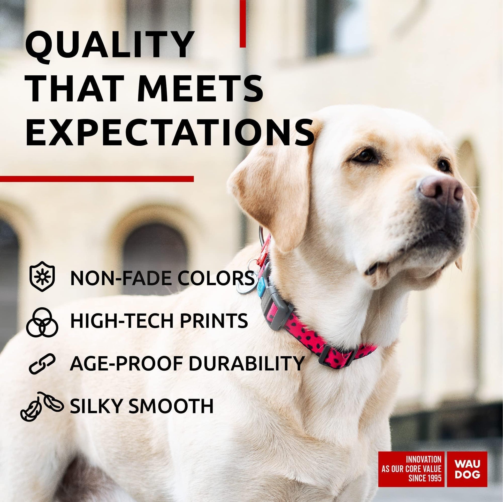 WAUDOG Nylon Adjustable Dog Collar with Durable Plastic Buckle and QR Dog Tag WATERMELON XL For Pet With Love