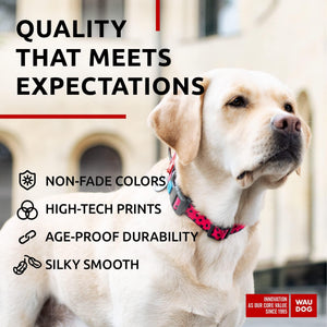 WAUDOG Nylon Adjustable Dog Collar with Durable Plastic Buckle and QR Dog Tag WATERMELON XL