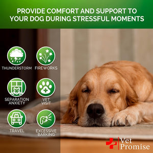 Vet Promise Hemp Oil Anxiety Relief Calming Chews for Dogs 120 Treats