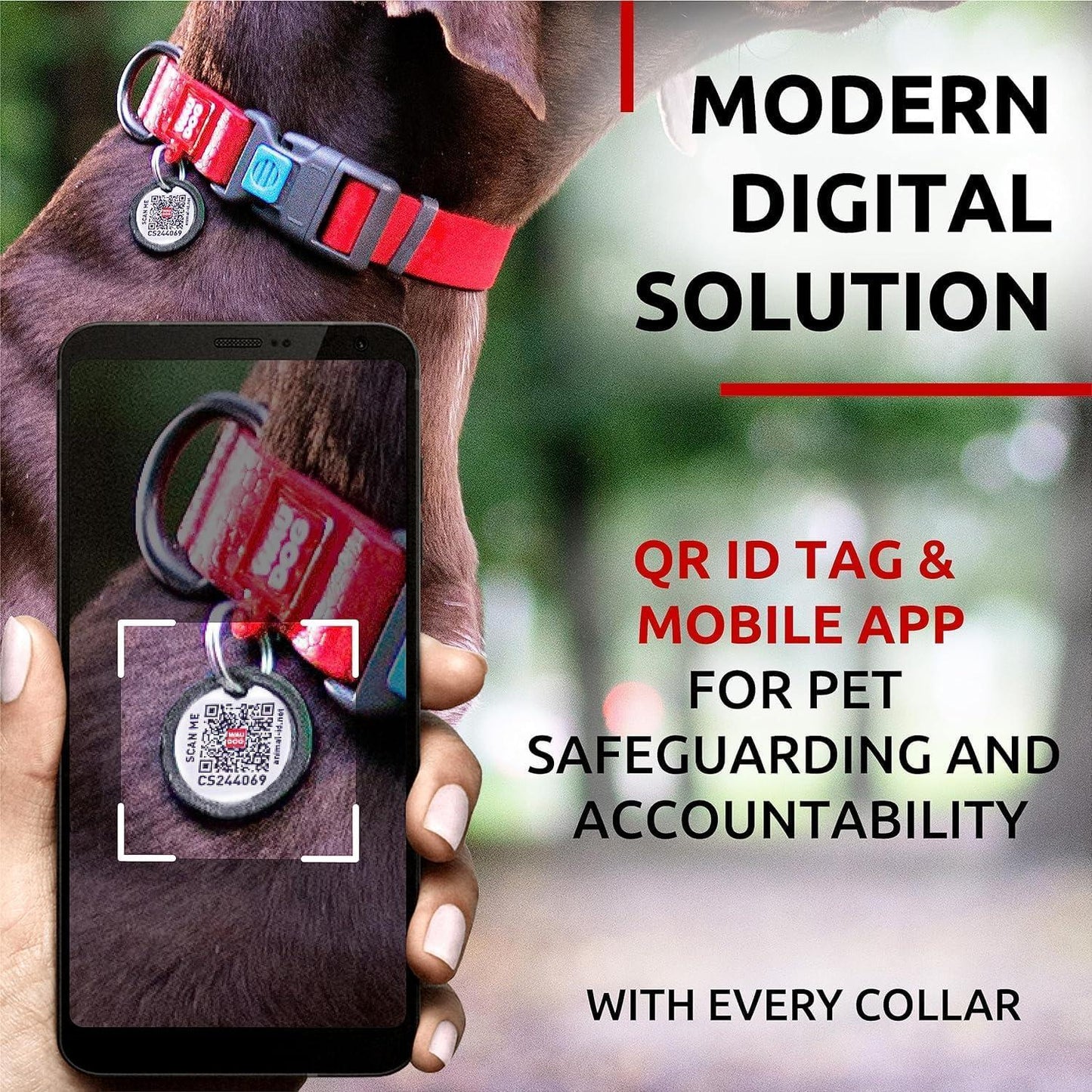 WAUDOG Adjustable Waterproof Heavy Duty Dog Collar with Durable Plastic Buckle and QR Dog Tag. XXLARGE (Red) For Pet With Love