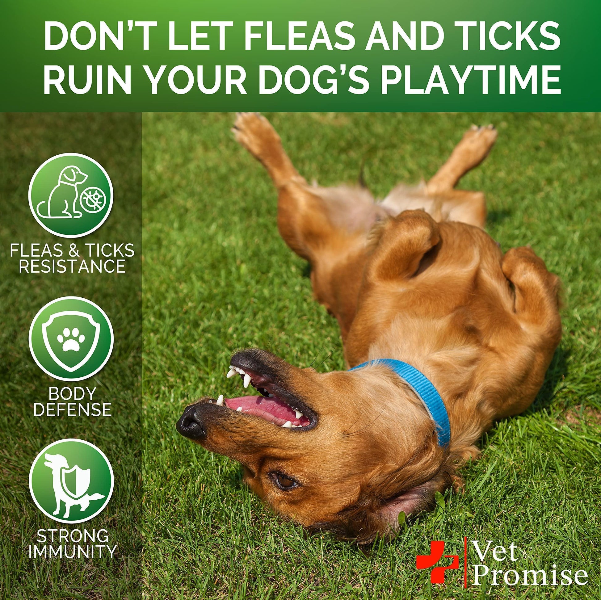 Vet Promise All Natural Flea and Tick Prevention Treatment for Dogs. 120 Chews. Chicken Flavor For Pet With Love