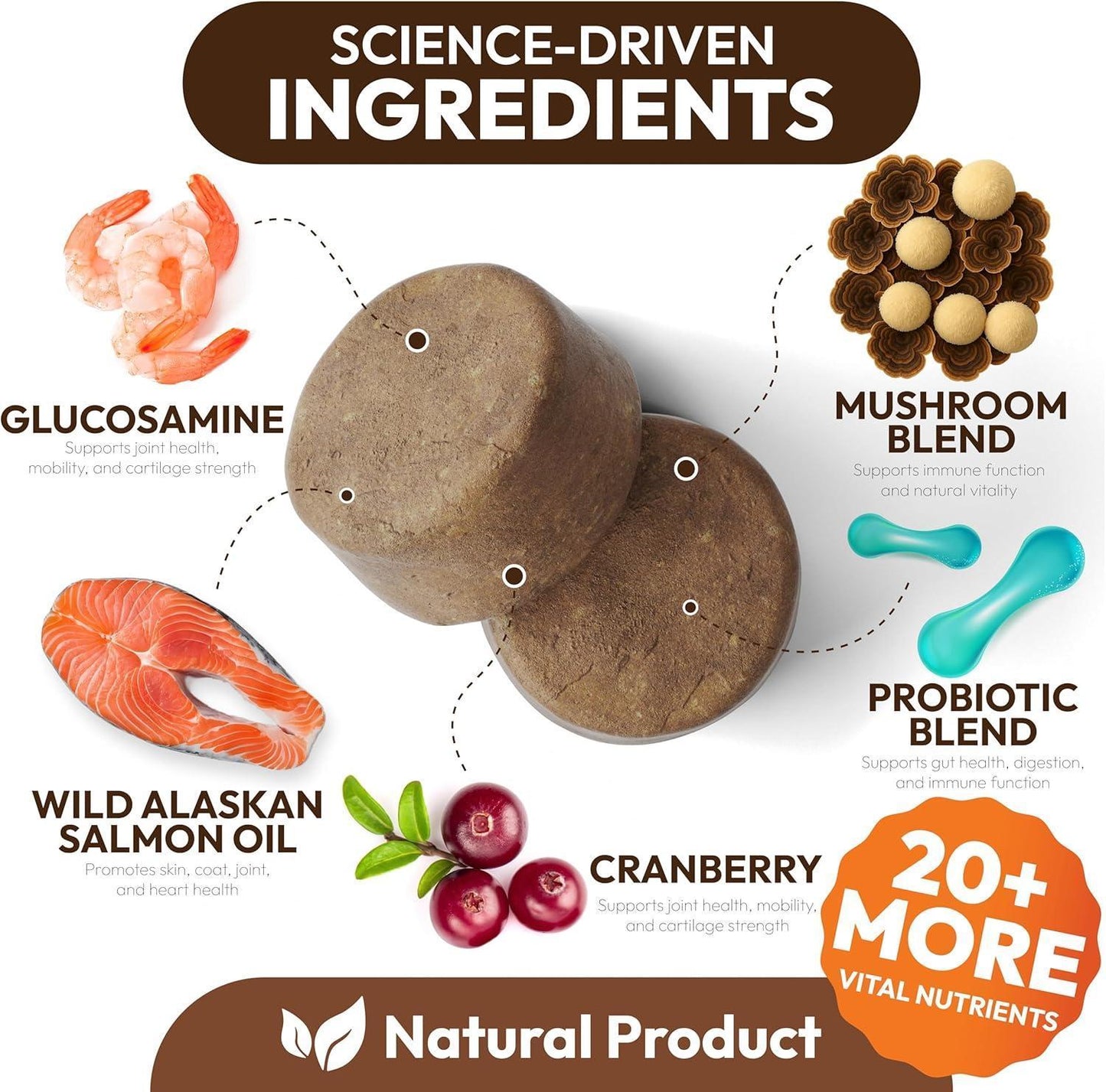 PETSOLOGY Turkey Tail Mushroom and Multivitamin Supplement for Dogs with Glucosamine. 2Pack. 340 Chews. For Pet With Love