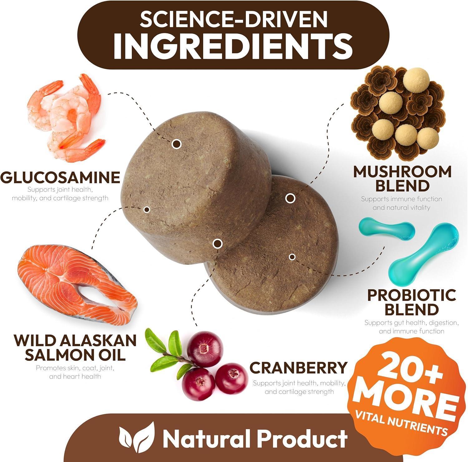 PETSOLOGY Turkey Tail Mushroom and Multivitamin Supplement for Dogs with Glucosamine. 2Pack. 340 Chews. For Pet With Love