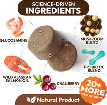 Load image into Gallery viewer, PETSOLOGY Turkey Tail Mushroom and Multivitamin Supplement for Dogs with Glucosamine. 2Pack. 340 Chews. For Pet With Love
