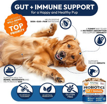Load image into Gallery viewer, PETSOLOGY Probiotics, Digestive Enzymes &amp; Prebiotics for Dogs. Advanced Supplement helps Itchy Skin and Allergies. Supports Gut Health. Diarrhea, Gas &amp; Constipation Relief (2 Pack) 340 Chews For Pet With Love
