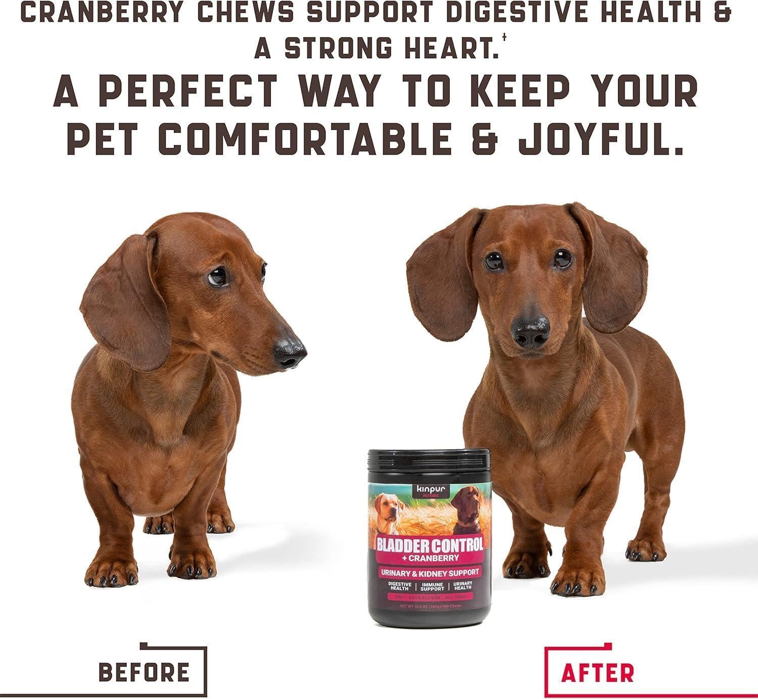Kinpur Pet Care Dog UTI Treatment w/Cranberry 180 Chews For Pet With Love