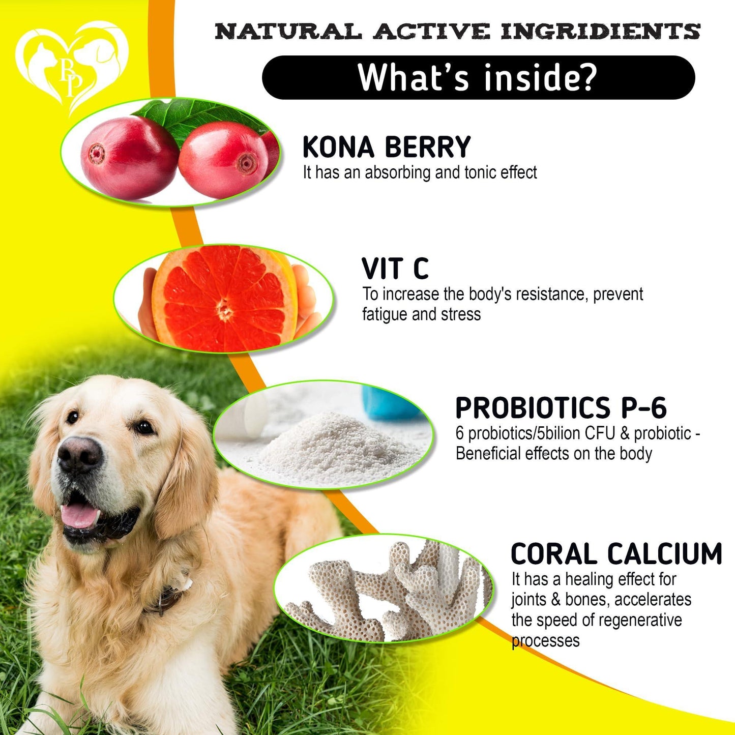 Beloved Pets Dog Immune Supplement Anti Itch & Allergy Relief with Probiotic 140 Ct For Pet With Love