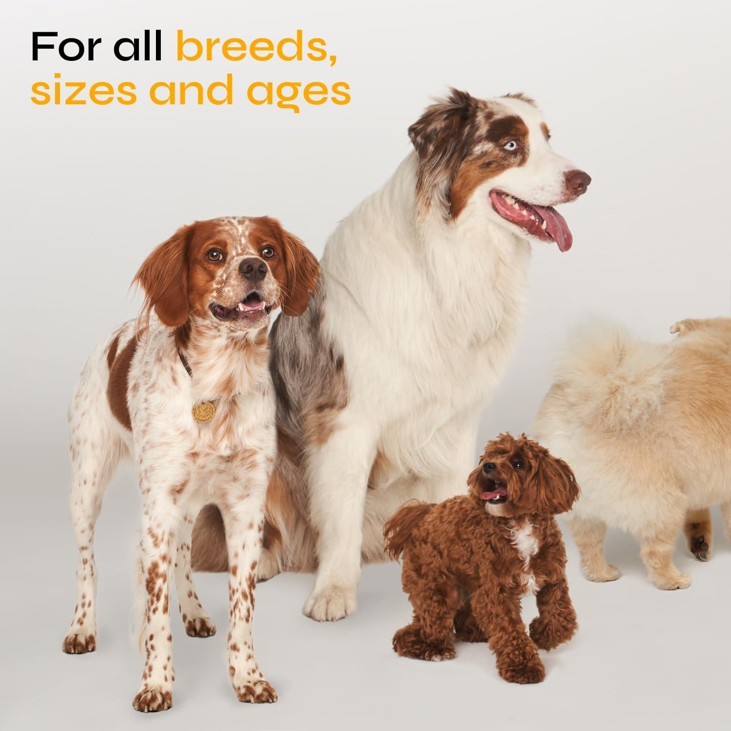 VETRICA Flea and Tick Prevention Treatment Immune Support for Dogs. All Breeds & Ages. Vet Formulated. (130 Soft Treats. Duck Flavor) For Pet With Love