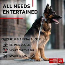 Load image into Gallery viewer, WAUDOG Long Lasting Leather Dog Collar with Durable Buckle D Ring &amp; QR Dog Tag GRAY XLARGE
