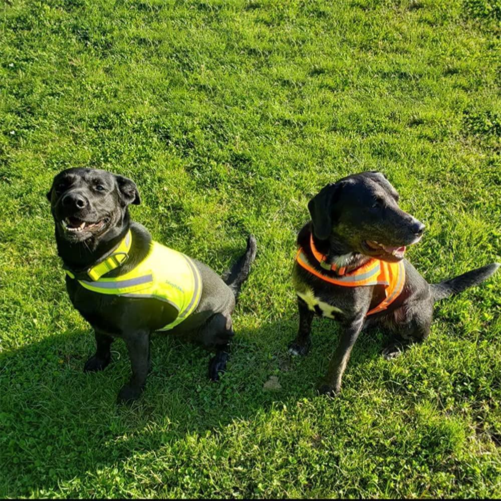 SafetyPUP XD Reflective HiVis Blaze Orange Fluorescent Dog Safety Vest (MEDIUM) For Pet With Love