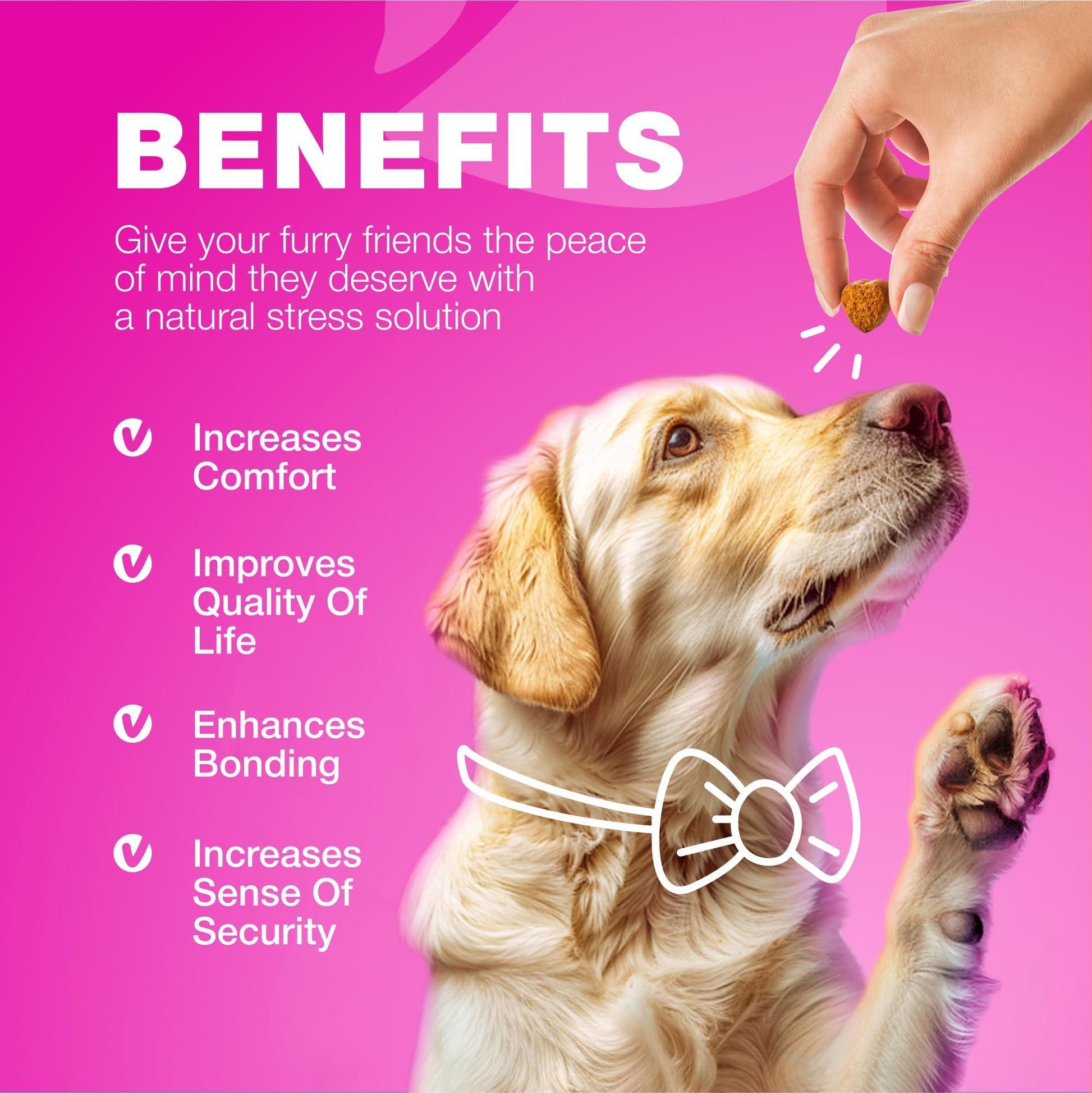 CHEWIA Dog Cranberry UTI Treatment Supplement for Bladder & Kidney Health 180 Chews For Pet With Love