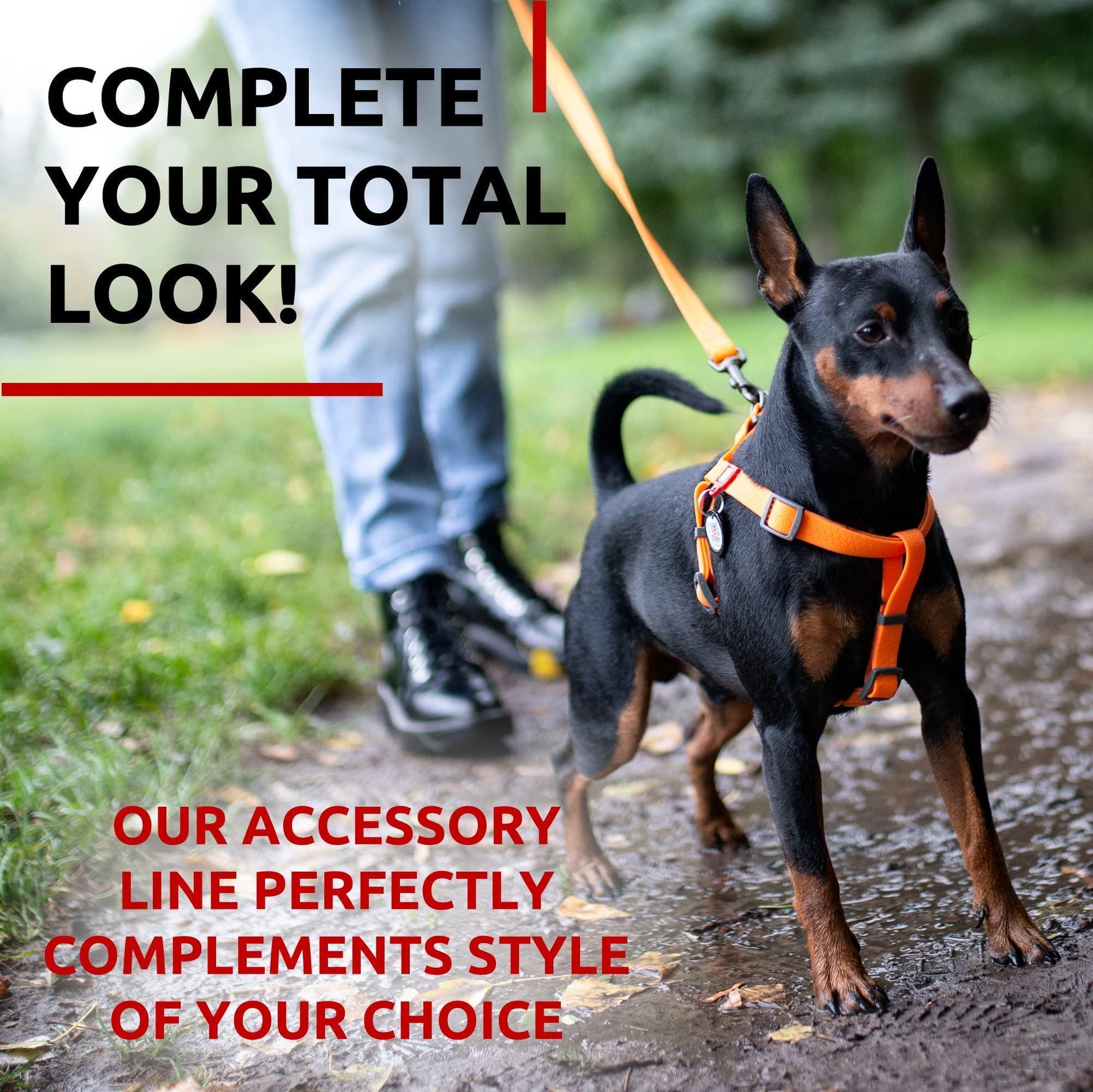Waterproof Dog Leash 4 Ft   6 Ft   Anti Slip Dog Leash for Large Dogs Small and For Pet With Love