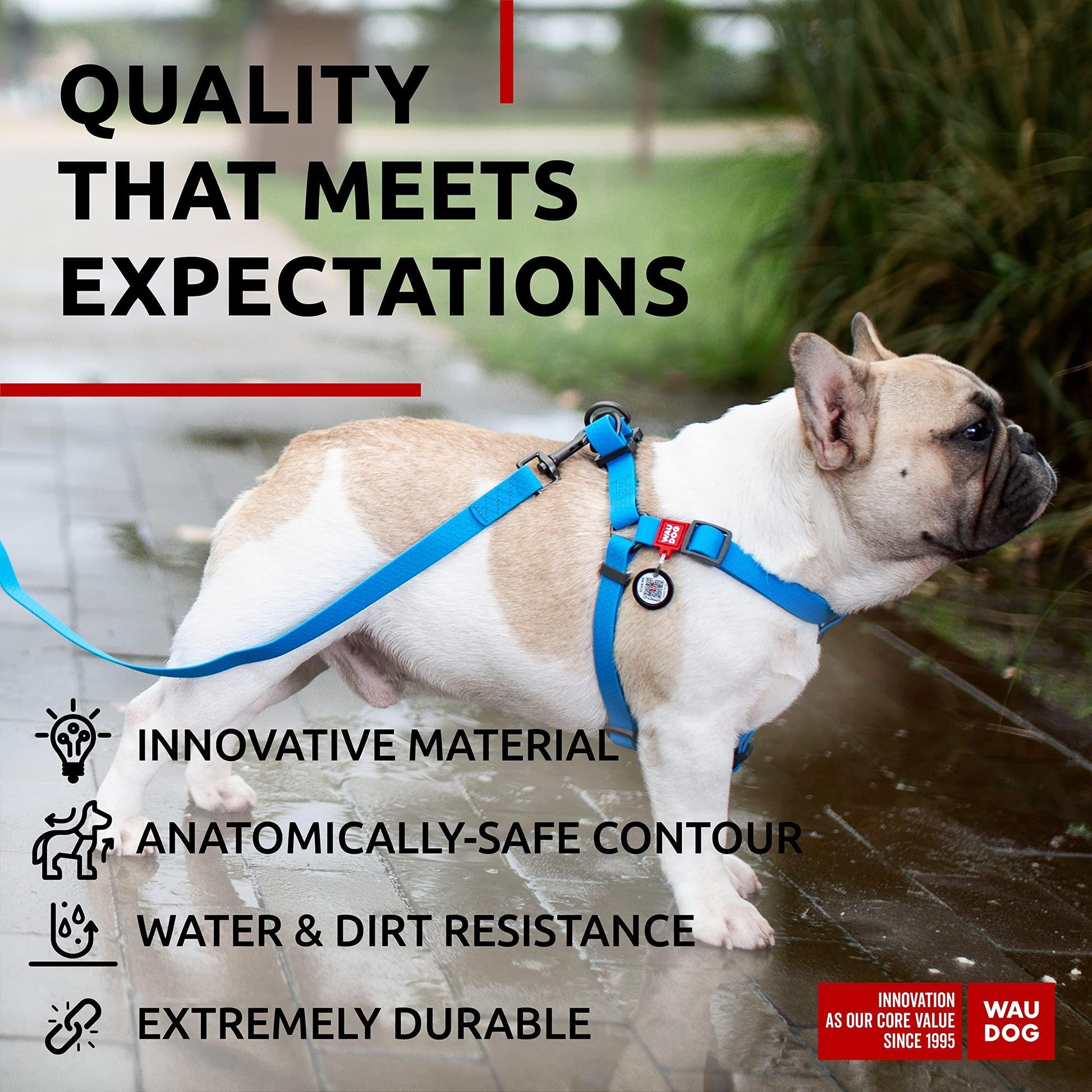 WAUDOG Waterproof Dog Harness   Adjustable Dog Harness for Large Dogs Small and For Pet With Love