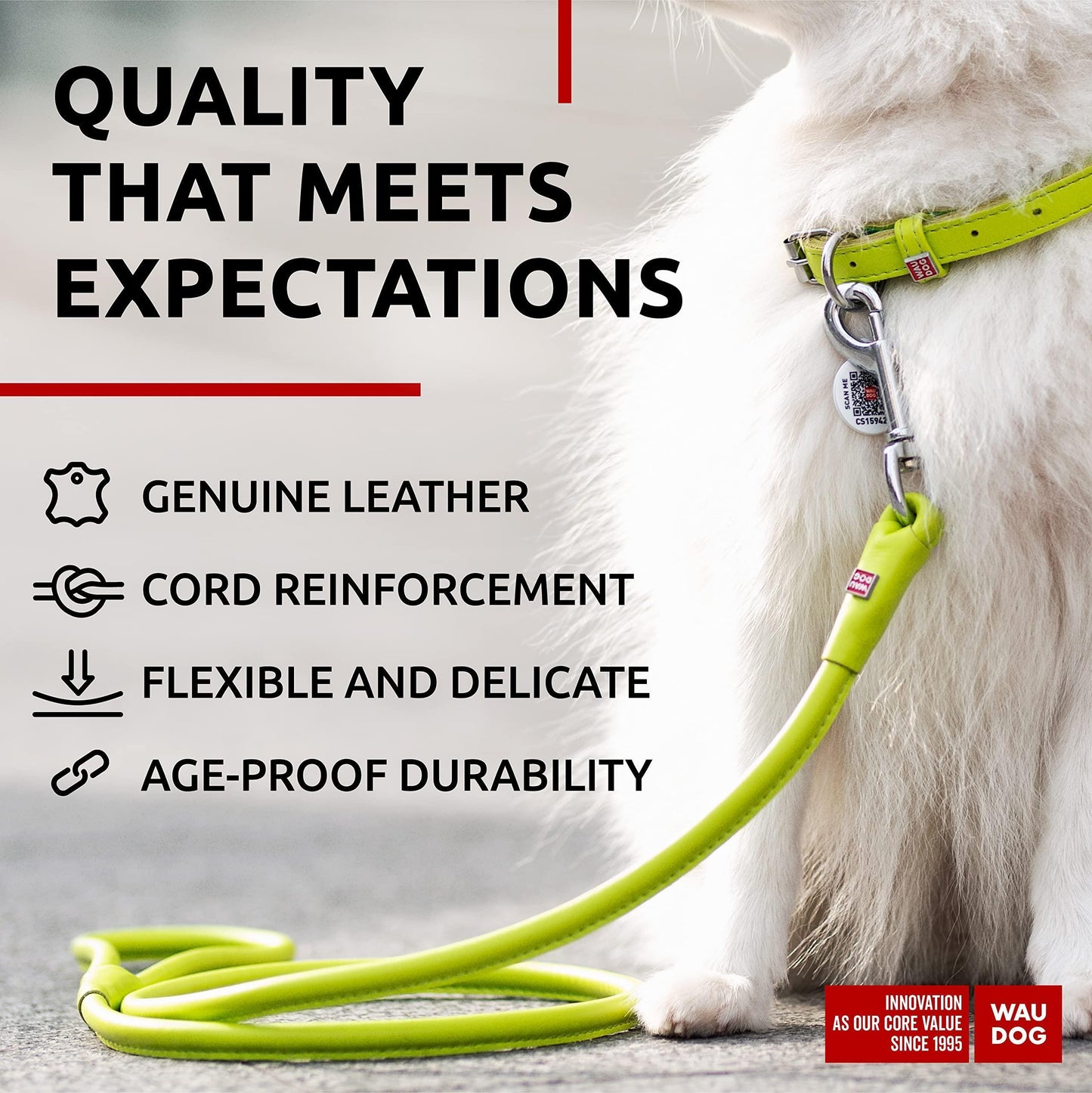 WAUDOG Rolled Leather GLAMOUR Dog Leash 4Ft * 0.3in (Green) For Pet With Love