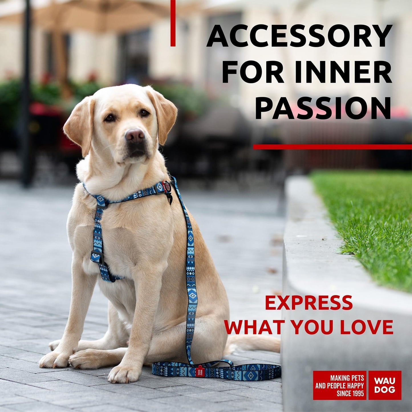 Nylon Dog Leash for Small Dogs and Medium Dogs 4 Ft   Strong Dog Leash for For Pet With Love