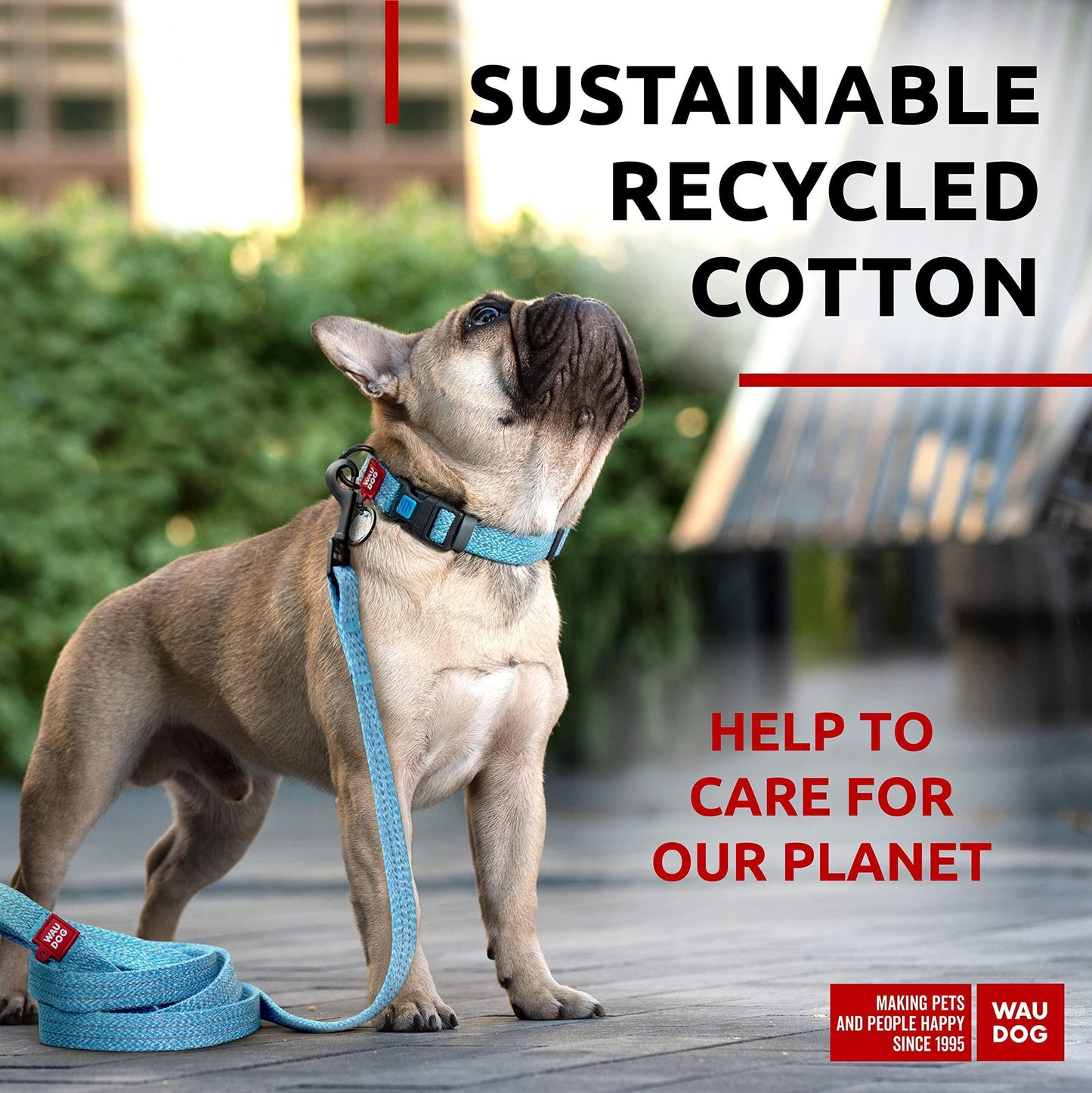 Recycled Cotton Dog Leash 6 Ft   10 Ft Eco Friendly Collar for Small Medium & For Pet With Love