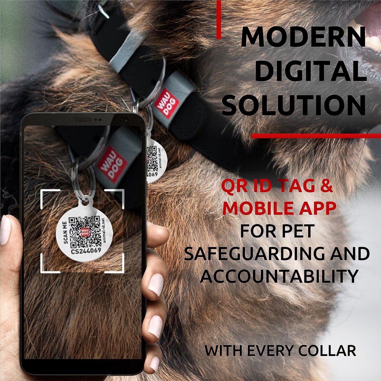 WAUDOG Adjustable Long Lasting Leather Dog Collar with Durable Buckle D Ring & QR Dog Tag. LARGE. Black. For Pet With Love