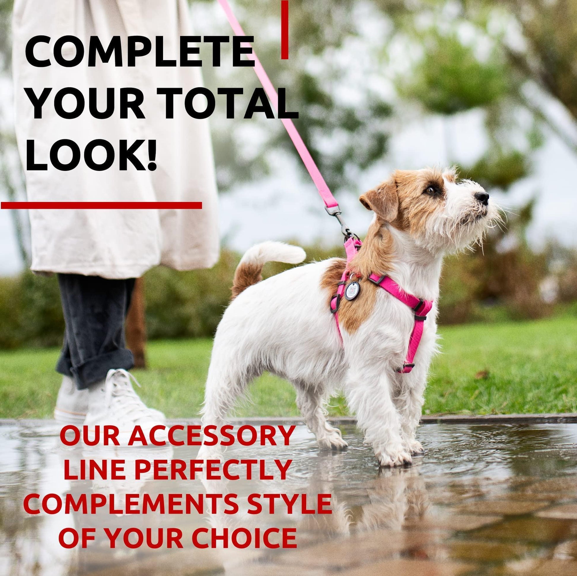 Waterproof Dog Leash 4 Ft   6 Ft   Anti Slip Dog Leash for Large Dogs Small and For Pet With Love