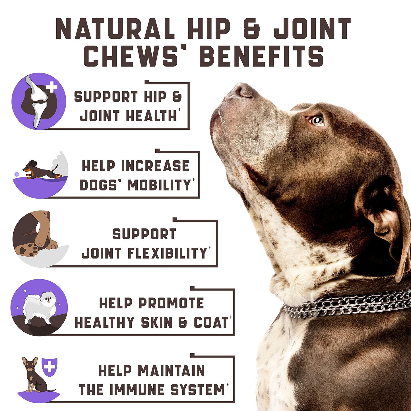 Kinpur Pet Care Hemp Joint Supplement for Dogs w/Glucosamine 180 Ct For Pet With Love
