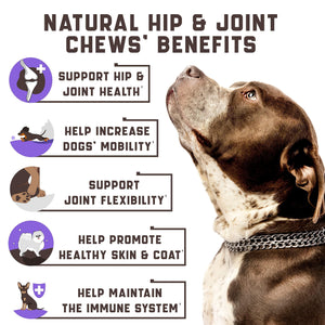 Kinpur Pet Care Hemp Joint Supplement for Dogs w/Glucosamine 180 Ct