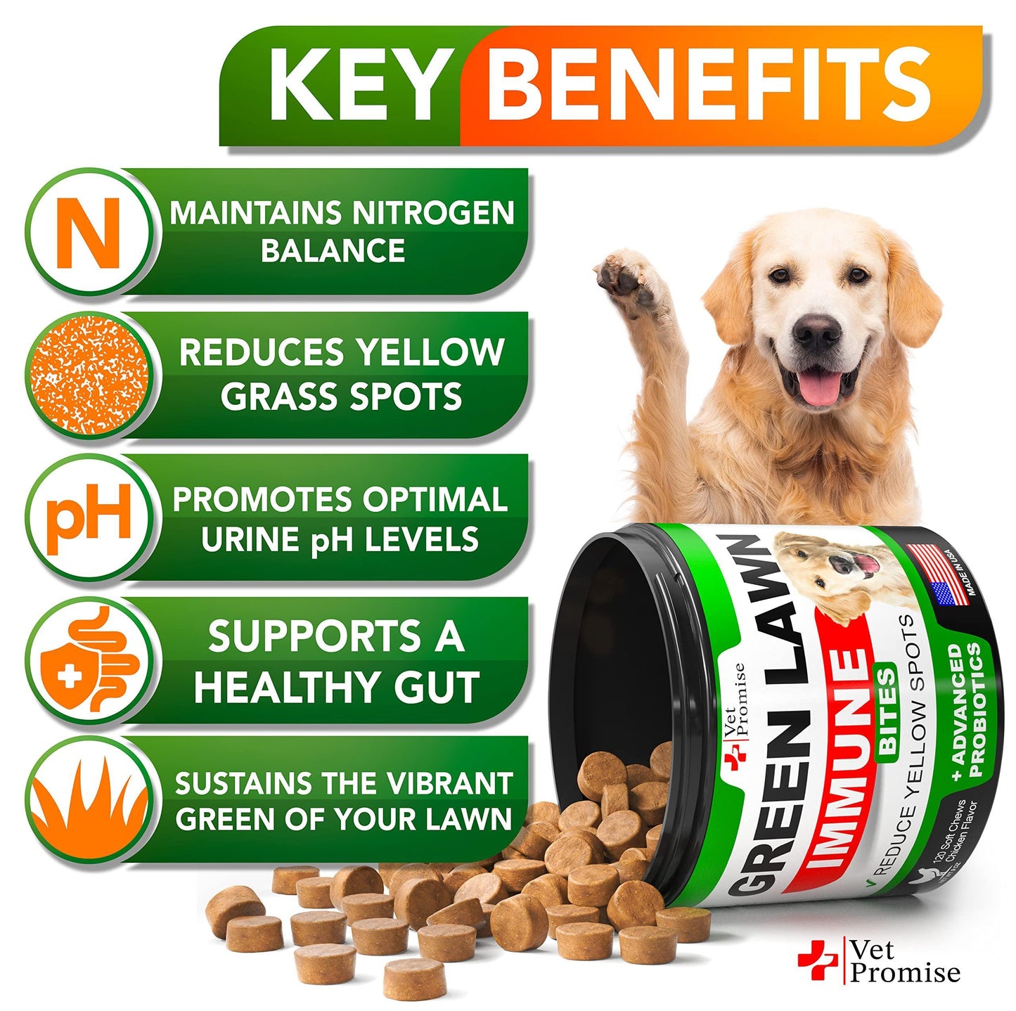 Vet Promise Dog Urine Neutralizer for Lawn with Probiotics Digestive Enzymes 120 Chews For Pet With Love