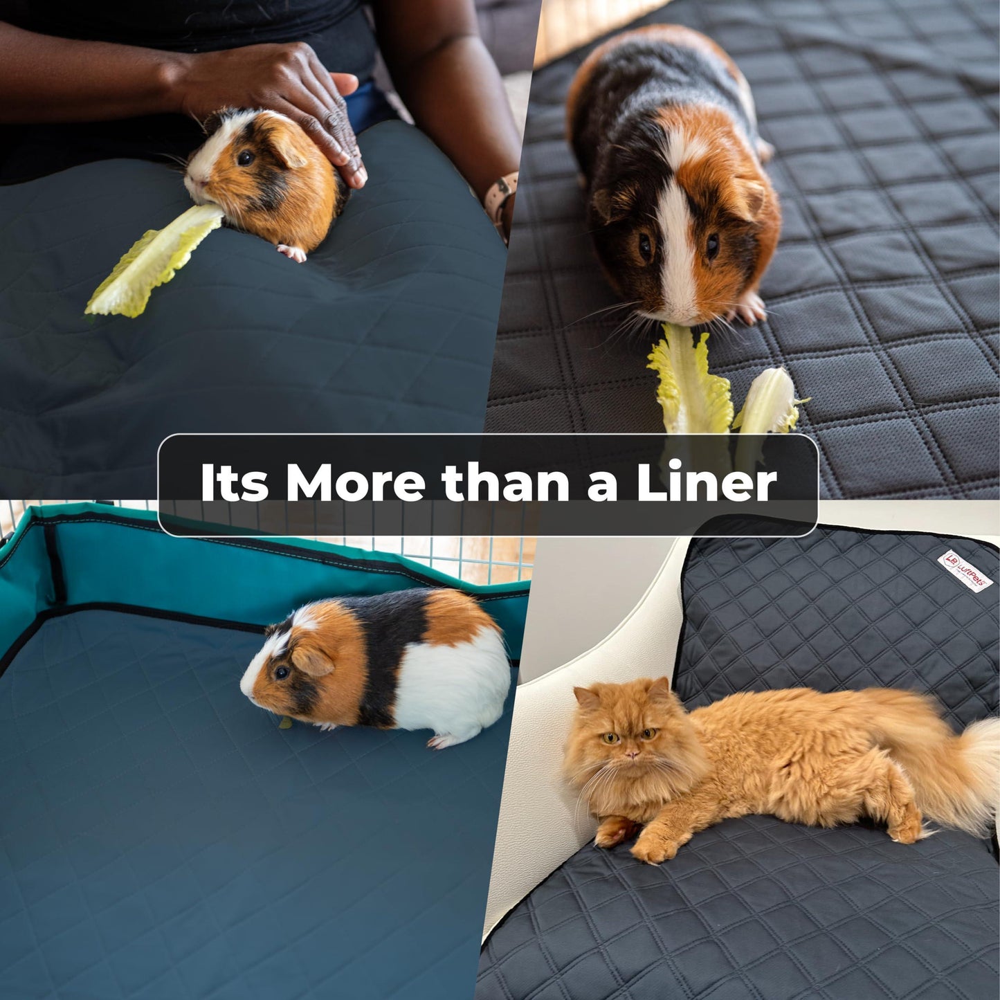 LUFTPETS Washable Small Animal Cage Liners for C&C 2'x3' (28 x 42 ) Habitats. Easy to Clean, Absorbent, Waterproof & Non Slip. 2Pack. For Pet With Love