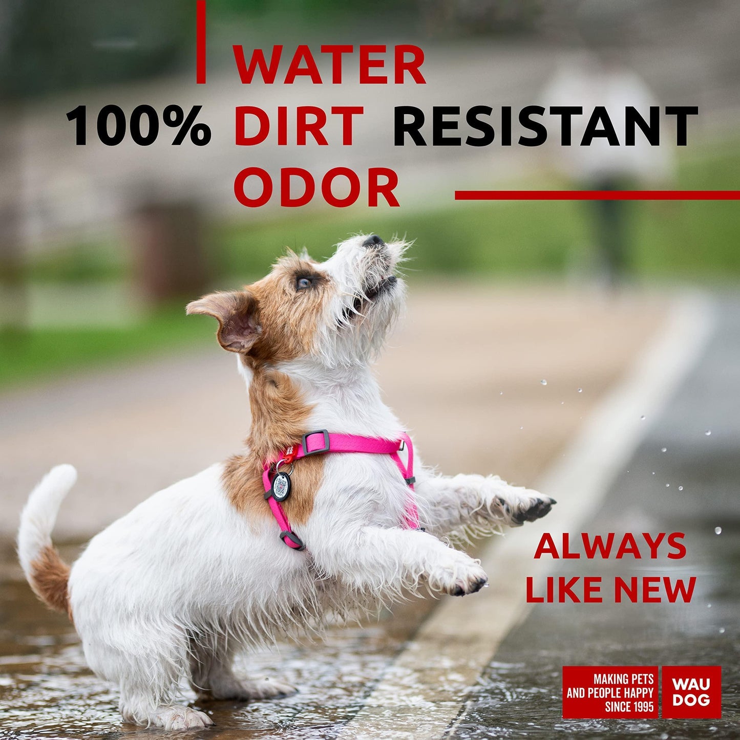 Waterproof Dog Harness   Adjustable Dog Harness for Large Dogs Small and Medium For Pet With Love