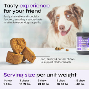 Dog UTI Treatment   Bladder Control Cranberry Chews   Dog Cranberry Supplement