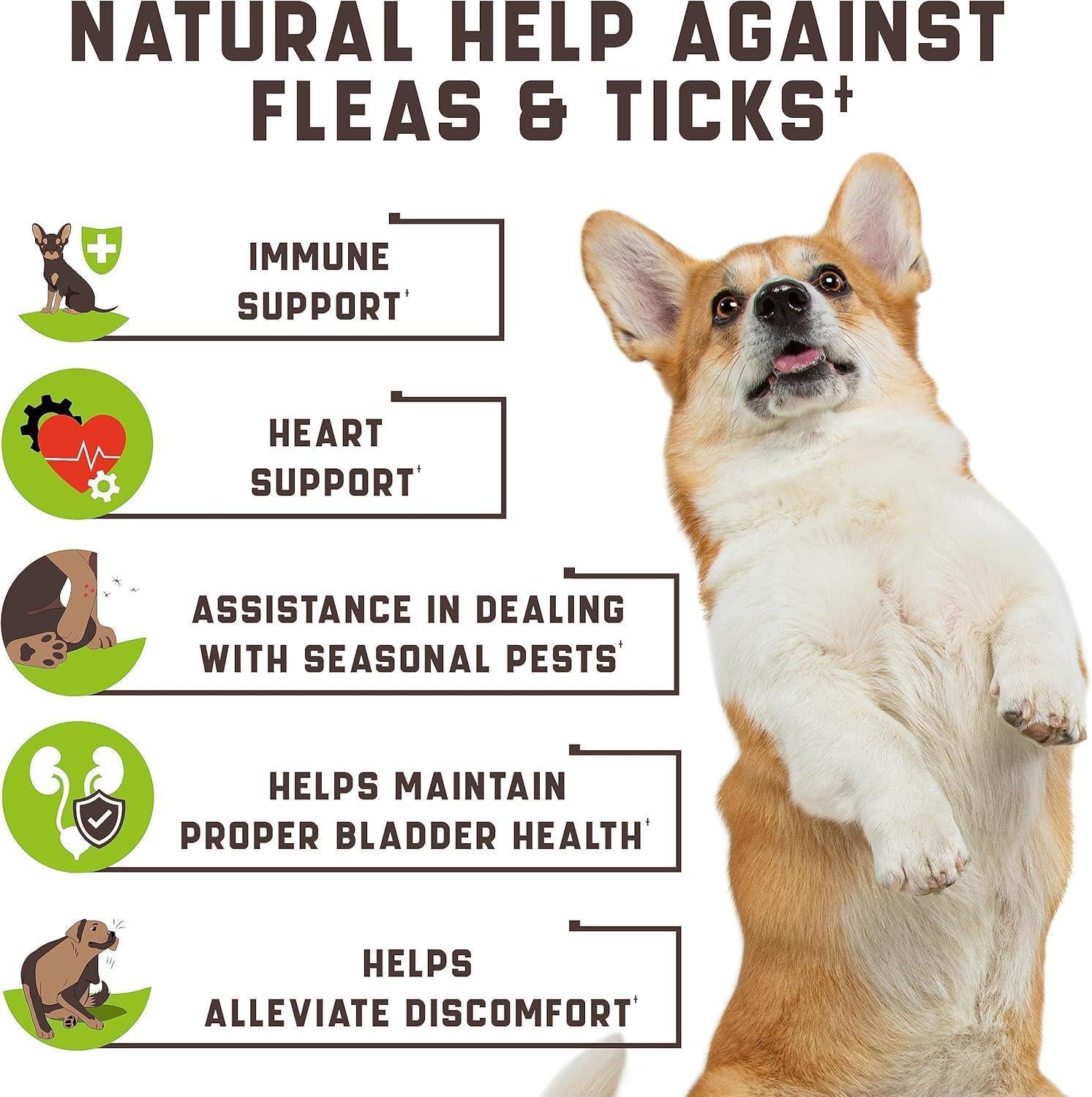 Kinpur Pet Care Flea and Tick Prevention Chewable Treatment for Dogs 180 Chews. Duck Flavor For Pet With Love