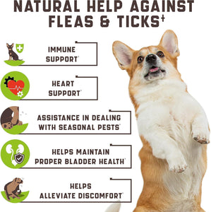 Flea and Tick Prevention Chewable for Dogs