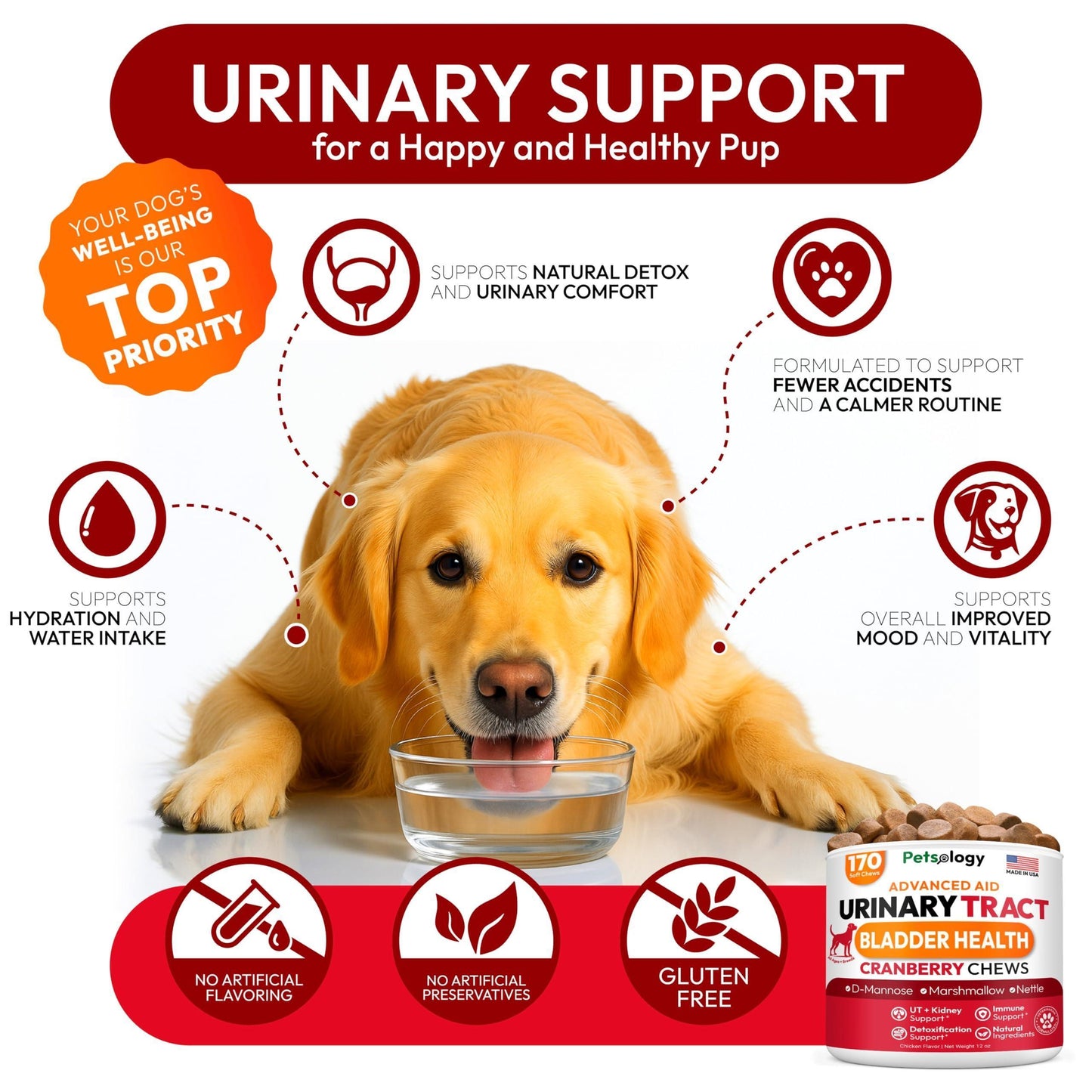 PETSOLOGY Advanced UTI Treatment Cranberry Multivitamin Supplement for Dogs. 170 Chews For Pet With Love