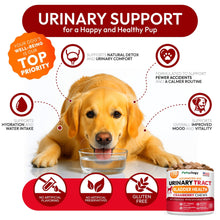 Load image into Gallery viewer, PETSOLOGY Advanced UTI Treatment Cranberry Multivitamin Supplement for Dogs. 170 Chews
