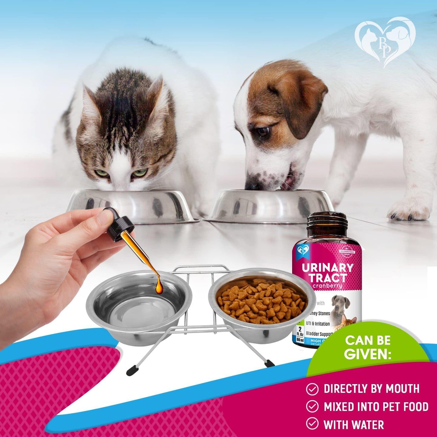 Beloved Pets Cat & Dog Urinary Tract Infection Treatment & Natural UTI Medicine Kidney Bladder Support Supplement  - Cranberry - 2 fl. oz. For Pet With Love