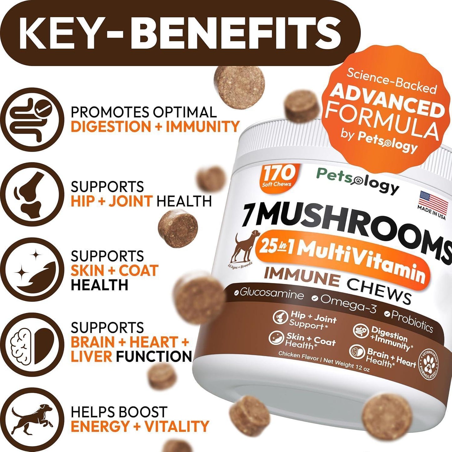 PETSOLOGY Turkey Tail Mushroom and Multivitamin Supplement for Dogs with Glucosamine. 2Pack. 340 Chews. For Pet With Love