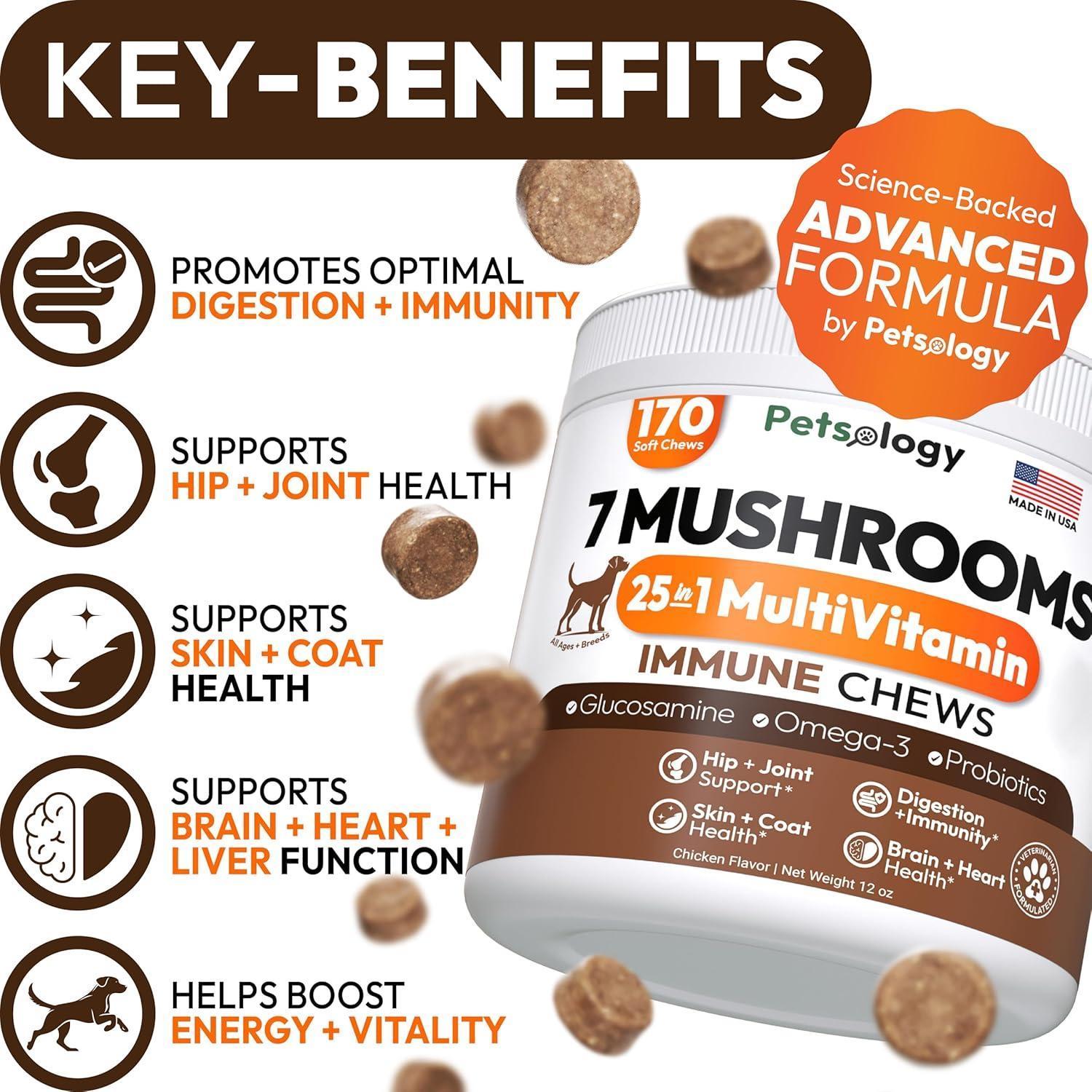PETSOLOGY Turkey Tail Mushroom and Multivitamin Supplement for Dogs with Glucosamine. 2Pack. 340 Chews. For Pet With Love