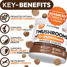 Load image into Gallery viewer, PETSOLOGY Turkey Tail Mushroom and Multivitamin Supplement for Dogs with Glucosamine. 2Pack. 340 Chews. For Pet With Love
